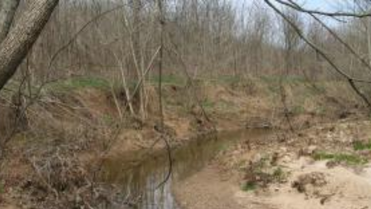 Illinois man’s 100-acre conservation work helps protect water for 30,000 people