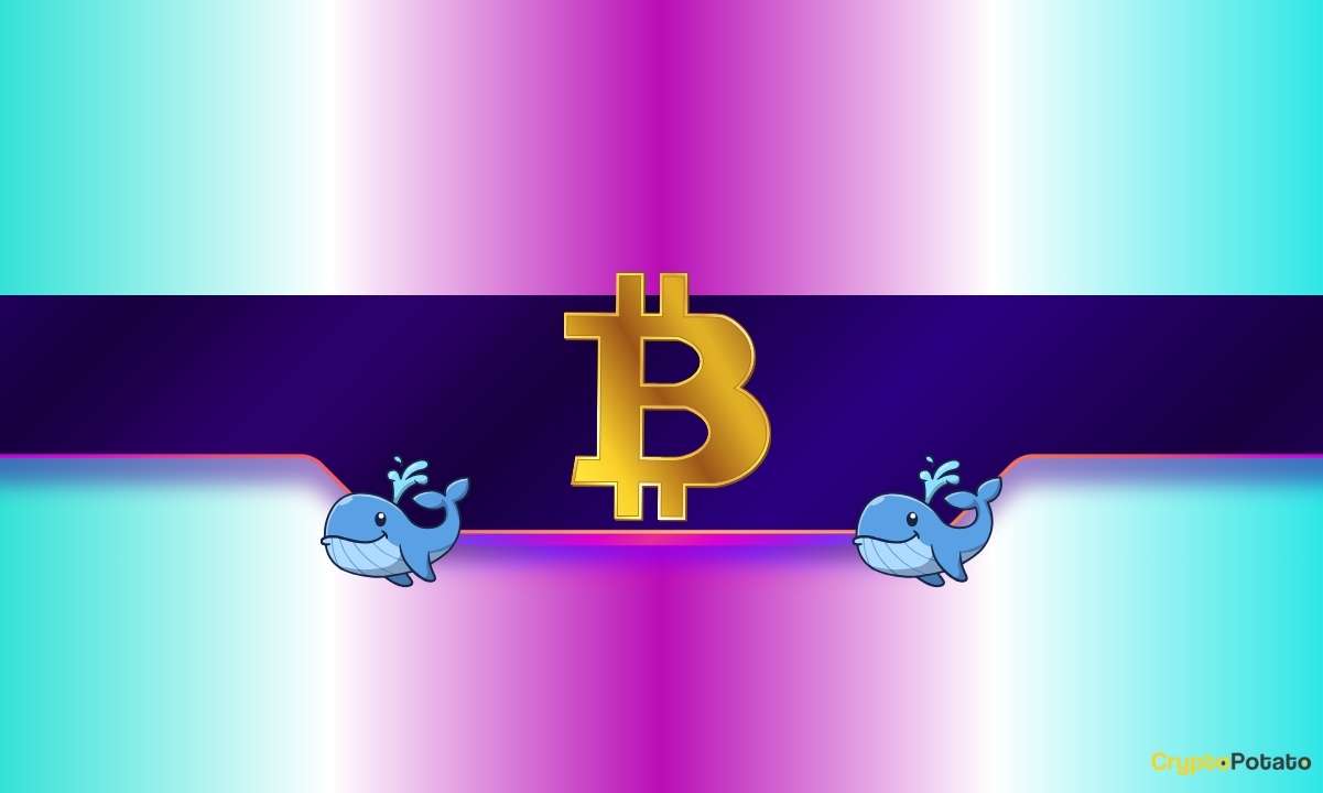 One Whale Lost Nearly $70m in ETH – Another Got Wrecked Long and Short