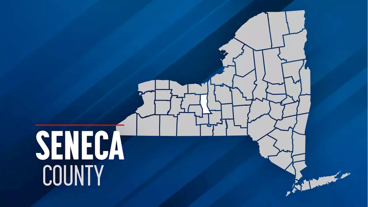 BREAKING: Man Breaks Into Seneca Falls Home, Chokes Victim in Front of Two Children
