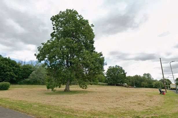 Village Green Under Threat: Residents Furious as Homes Plan Set to Destroy Safe Haven