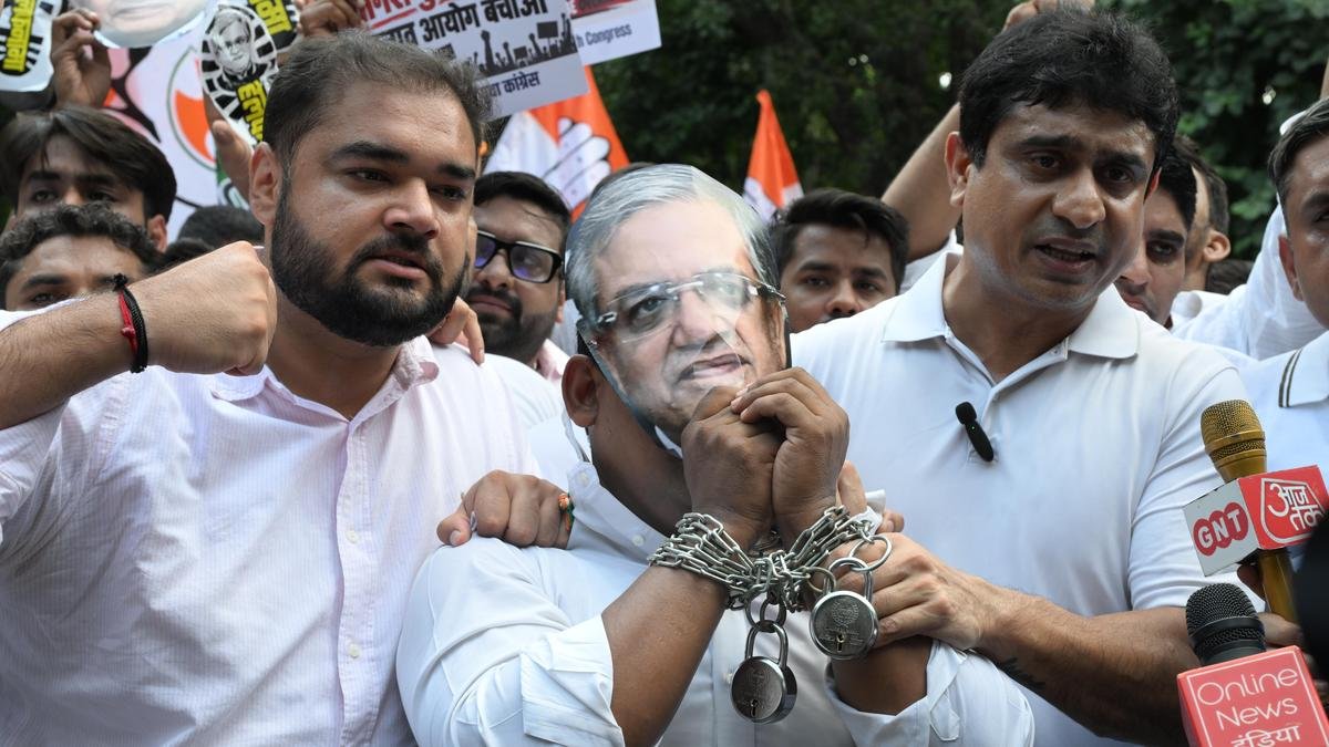 What does the law say about CEC’s removal? | Explained