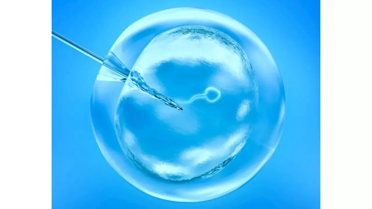 Enterprise Tech Shift: Inside Beverly Hills’ Fertility Maison: Bespoke Fertility & Surrogacy and the Scaling Frontier