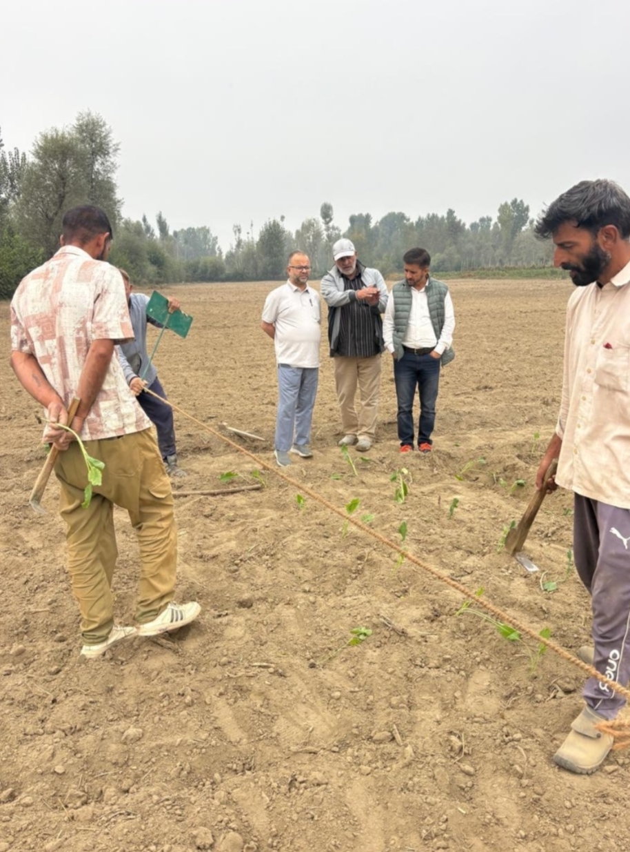 Director Agriculture Kashmir visits SM Farm Gangbug Srinagar to kickstart Rabi Seedling Transplantation
