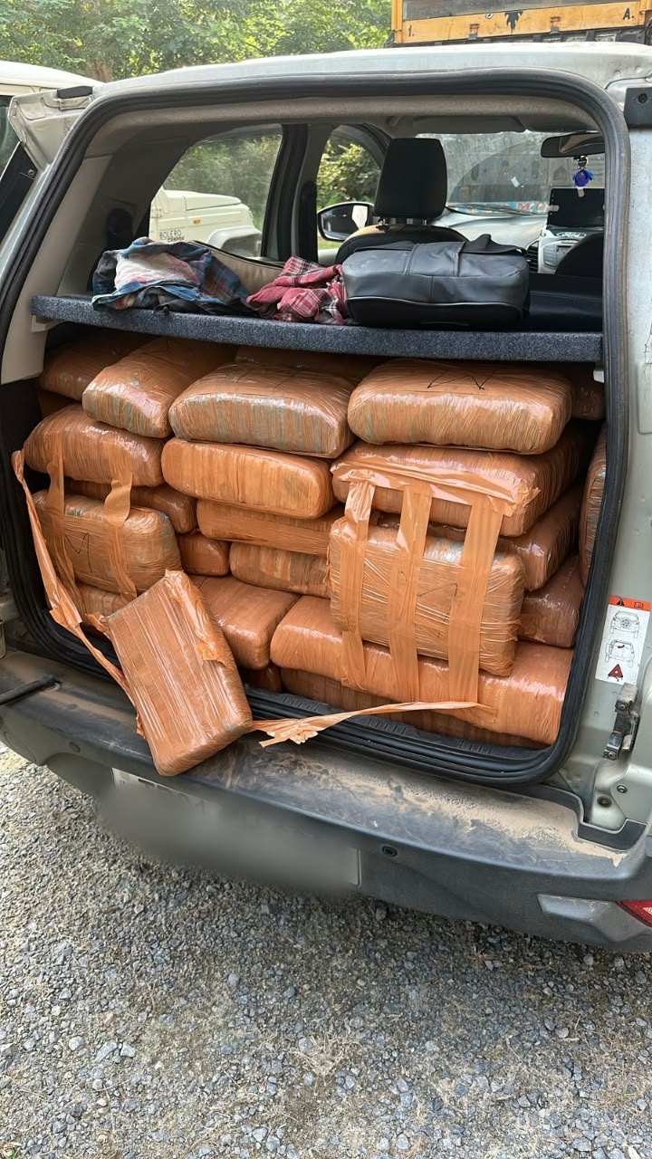 Assam Rifles, Customs Seize 340 Kg of Cannabis Worth ₹1.74 Crore in Tripura
